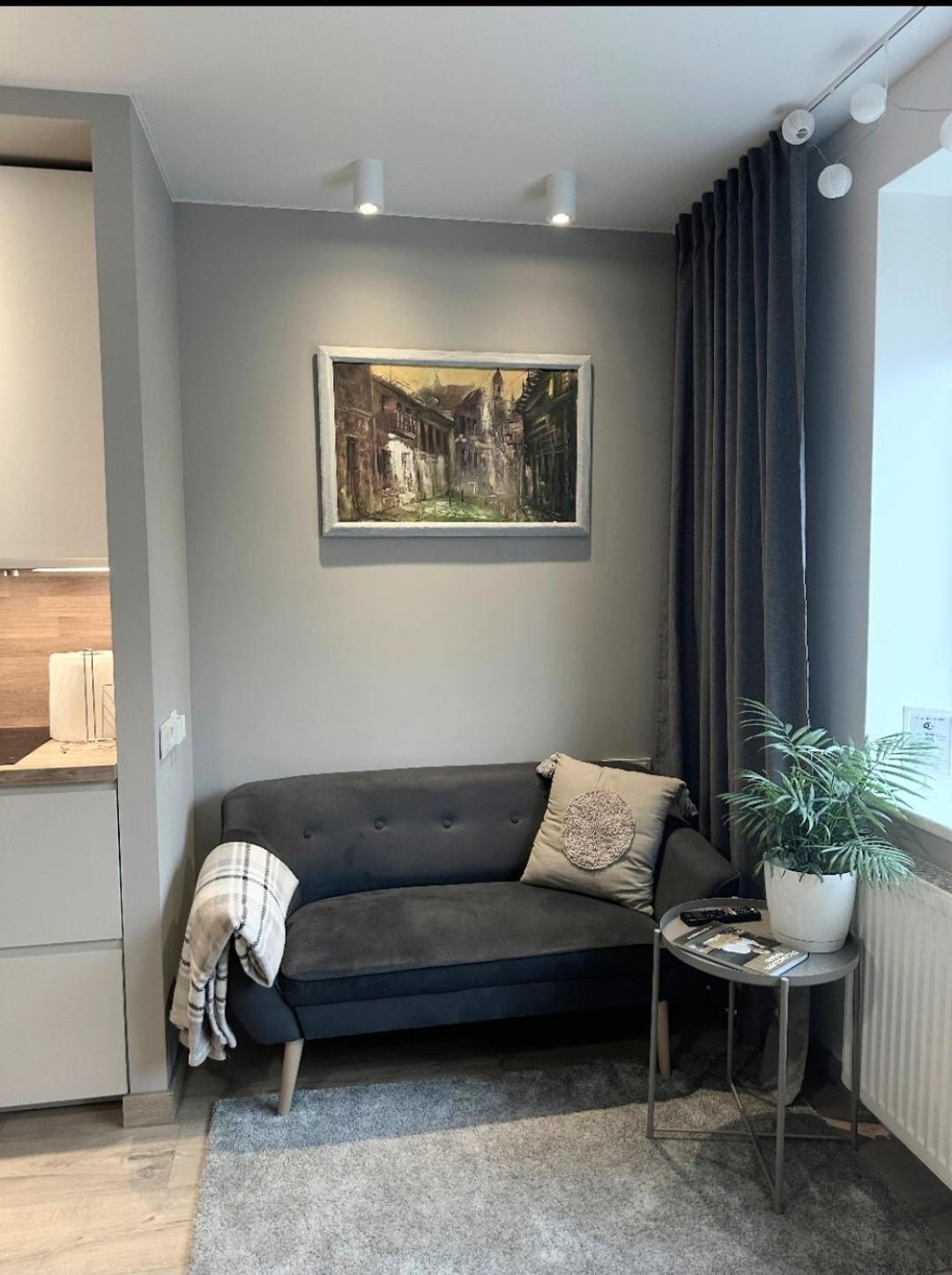 Apartment Miegu - Apartments Druskininkai